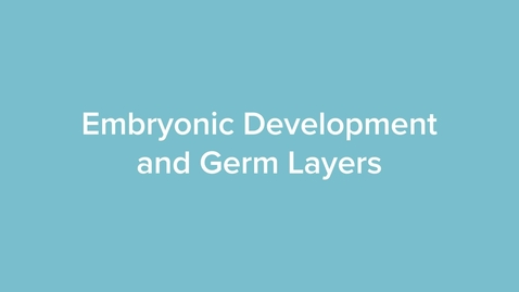 Thumbnail for Embryonic Development and Germ Layers