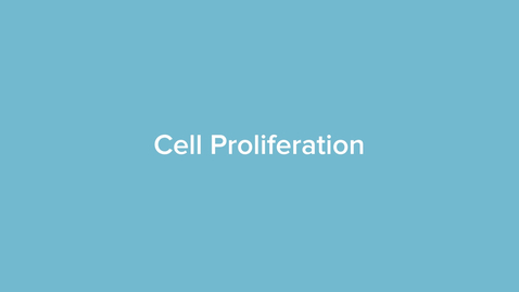 Thumbnail for Cell Proliferation