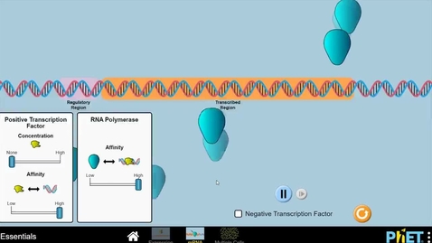 Thumbnail for Gene Expression Simulation Tutorial