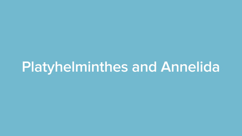 Thumbnail for Platyhelminthes and Annelida