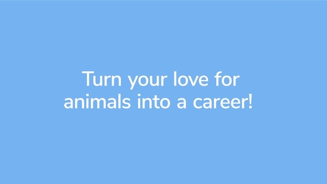 Thumbnail for VET103_GettingStarted_VO_VID00737