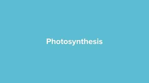 Thumbnail for Photosynthesis