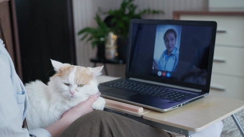 Thumbnail for Discover Our Veterinary Team Telehealth Certificate Program - Penn Foster
