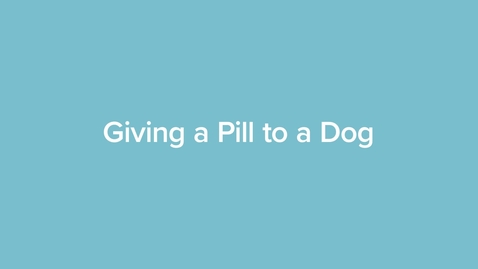 Thumbnail for Giving a Pill to a Dog