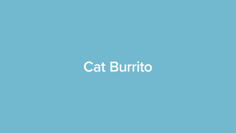 Thumbnail for Cat Burrito
