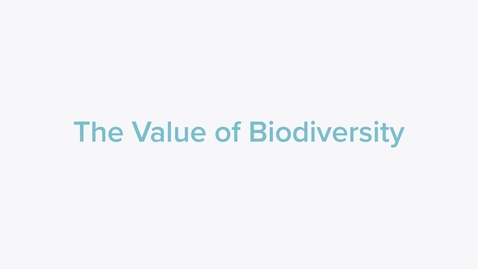 Thumbnail for Biodiversity