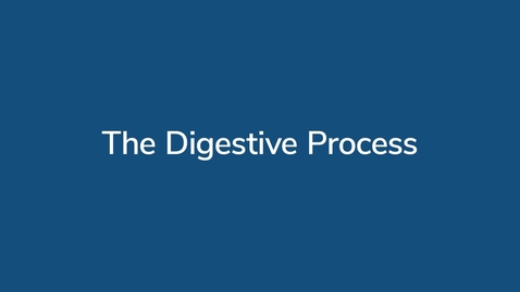 Thumbnail for The Digestive Process