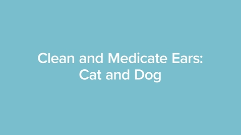 Thumbnail for Clean and Medicate Ears: Cat and Dog