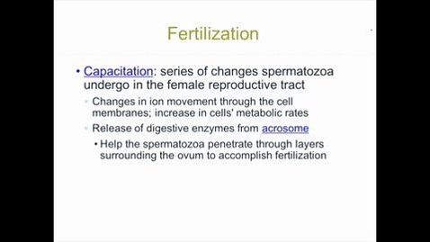 Thumbnail for Objective 17A