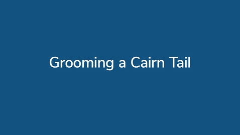 Thumbnail for Grooming a Cairn Tail