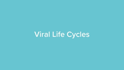 Thumbnail for Viral Life Cycles