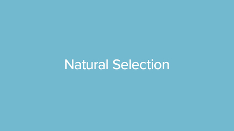 Thumbnail for Natural Selection