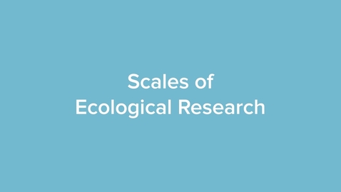 Thumbnail for Scales of Ecological Research