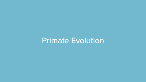Thumbnail for Primate Evolution