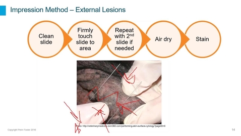 Thumbnail for Cytology Sample Collections