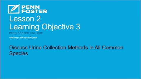 Thumbnail for Lesson 2: Learning Objective 3