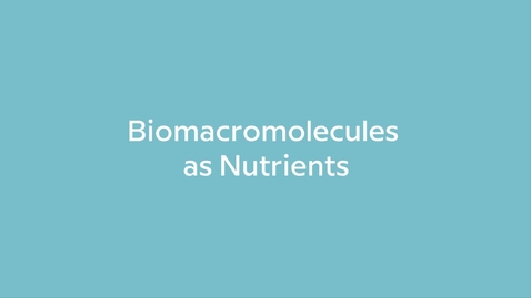 Thumbnail for Biomacromolecules as Nutrients