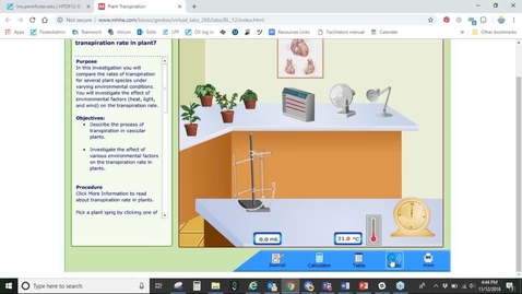 Thumbnail for Plant Transpiration Virtual Lab Introduction