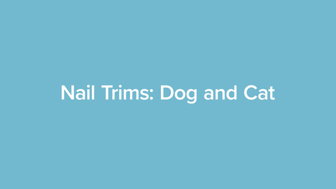 Thumbnail for Nail Trims: Dog and Cat