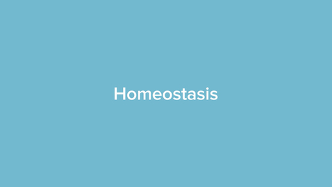 Thumbnail for Homeostasis
