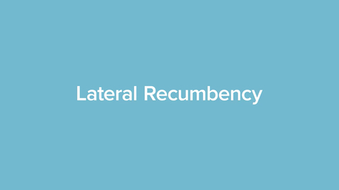 Thumbnail for Lateral Recumbency