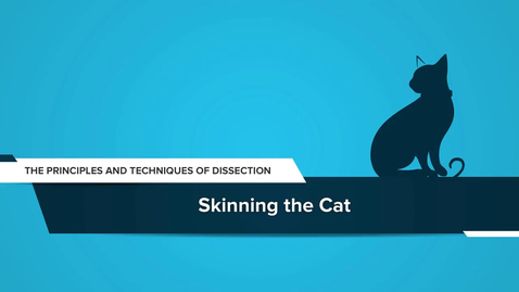 Thumbnail for Skinning the Cat