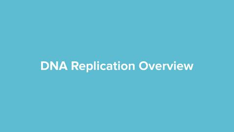 Thumbnail for DNA Replication Overview