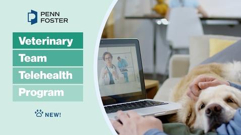 Thumbnail for New! Veterinary Telehealth Certificate | Penn Foster online program