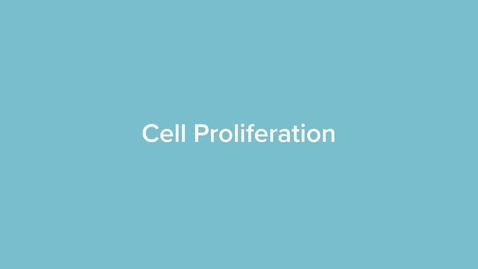 Thumbnail for Cell Proliferation