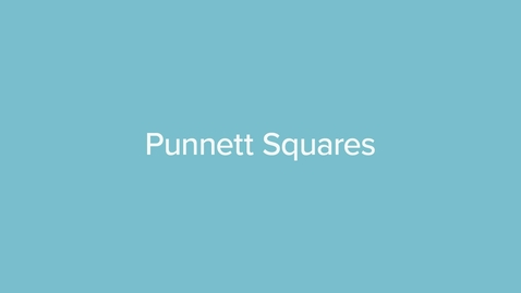 Thumbnail for Punnett Squares