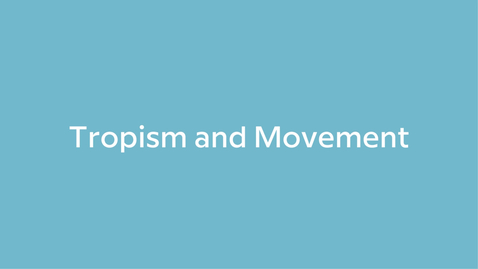 Thumbnail for Tropism and Movement
