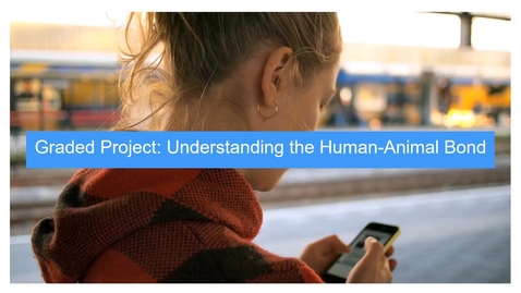 Thumbnail for VET302 2 Graded Project