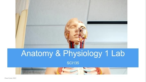 Thumbnail for How to Complete Your First Lab Assignment