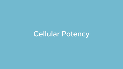 Thumbnail for Cellular Potency