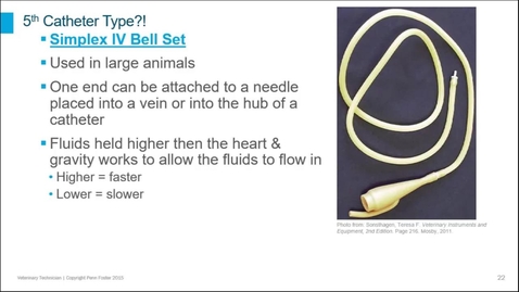 Thumbnail for Lesson 2: Learning Objective 2