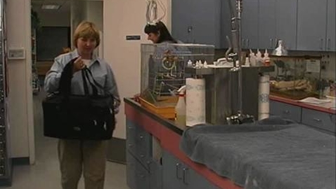 Thumbnail for Handling Cats