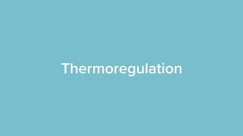 Thumbnail for Thermoregulation