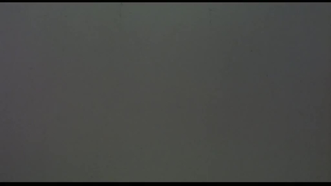 Thumbnail for Evil Dead (2nd try)