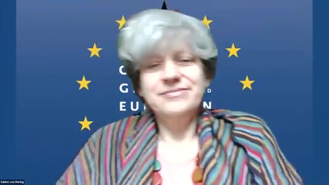 Thumbnail for The Economic Consequences of Covid 19 in Germany