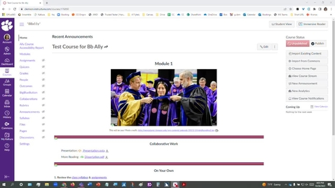 Thumbnail for 2022 Blackboard Ally - Windows browsers Zoom, color, keyboard