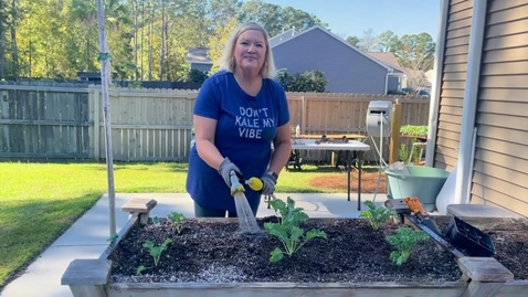 Thumbnail for Planting Kale with Amy Dabbs