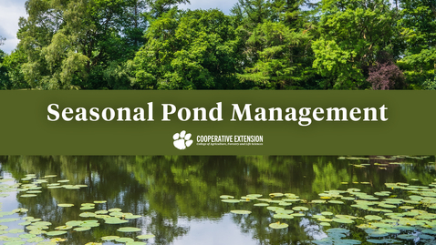 Thumbnail for Seasonal Pond Management: In Pond Actions for Maintaining a Healthy Pond