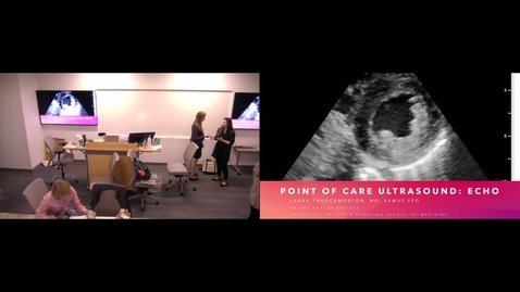 Thumbnail for Bedside Echocardiogram in the Emergent Setting