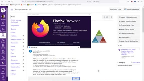 Thumbnail for 2022 Suitable LTI FireFox NVDA Instructor