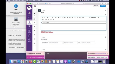 Thumbnail for Essay Alert - Canvas New Quizzes