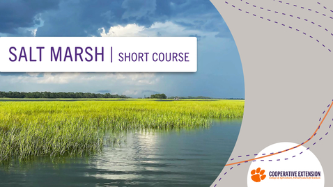 Thumbnail for Salt Marsh: Oysters