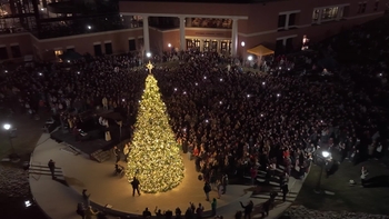 View thumbnail for 2025 Christmas Tree Lighting Highlights