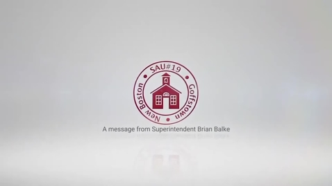 Thumbnail for School District Warrant Articles - 2021