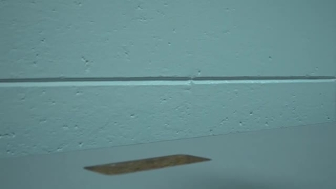 Thumbnail for Auburndale Live Stream 55