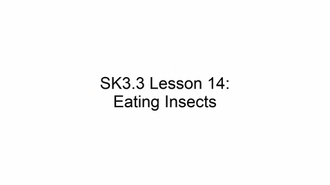 Thumbnail for entry SK3.3 L15 Eating Insects